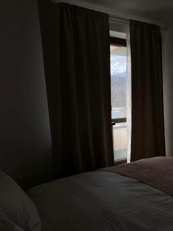 Апартаменты Ioana'S Apartament Синая Экстерьер фото