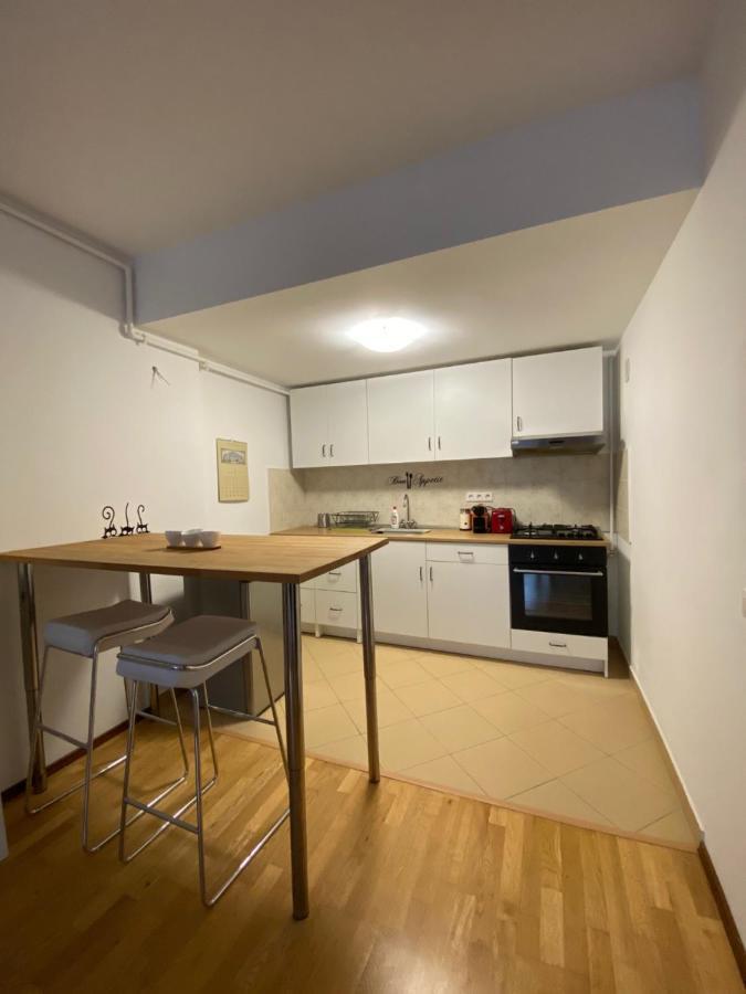 Апартаменты Ioana'S Apartament Синая Экстерьер фото
