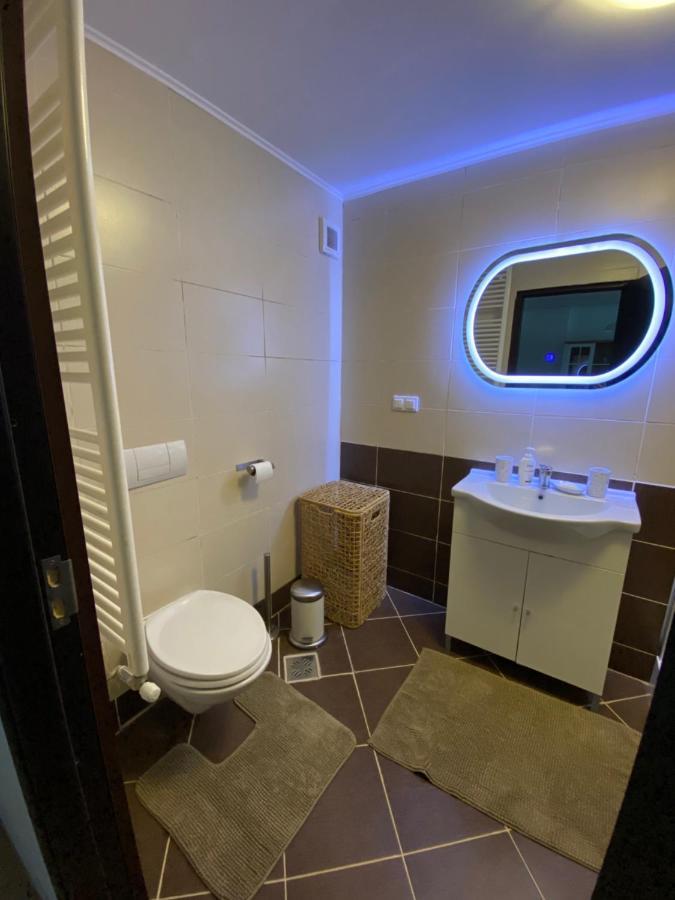 Апартаменты Ioana'S Apartament Синая Экстерьер фото