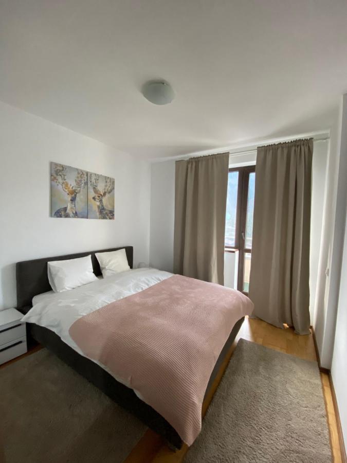 Апартаменты Ioana'S Apartament Синая Экстерьер фото